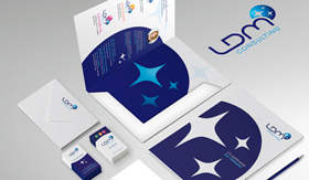 LDM CONSULTING